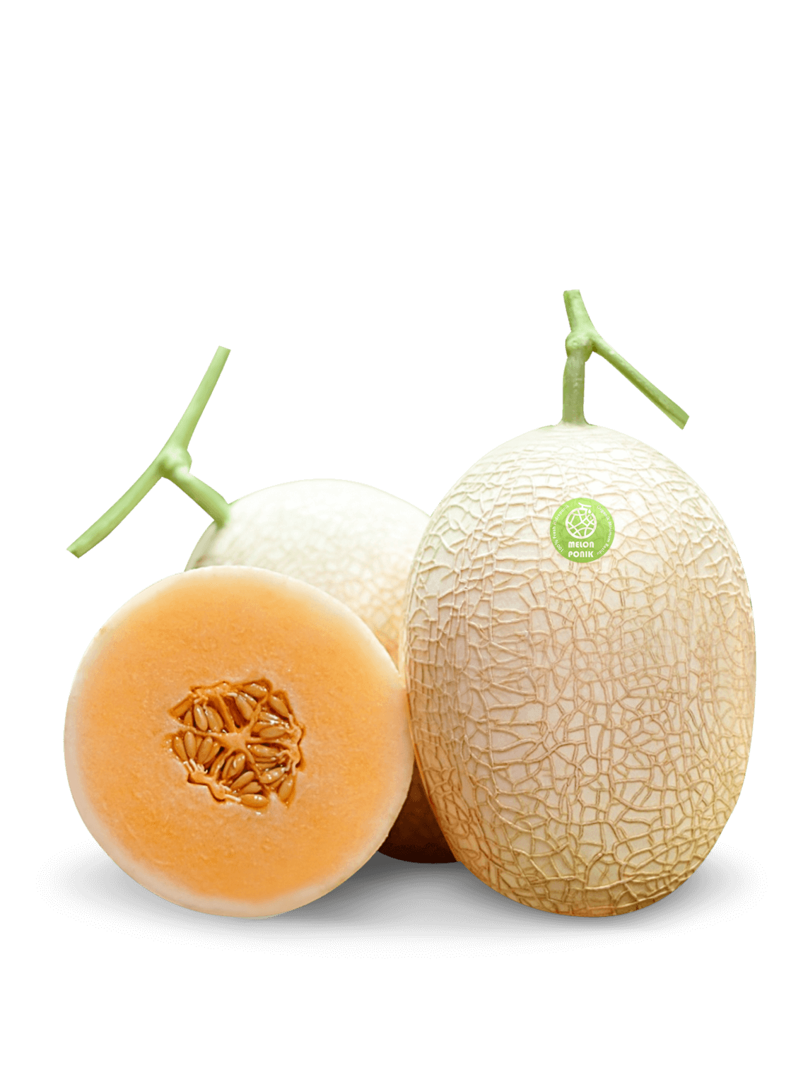 Melon Sweetnet
