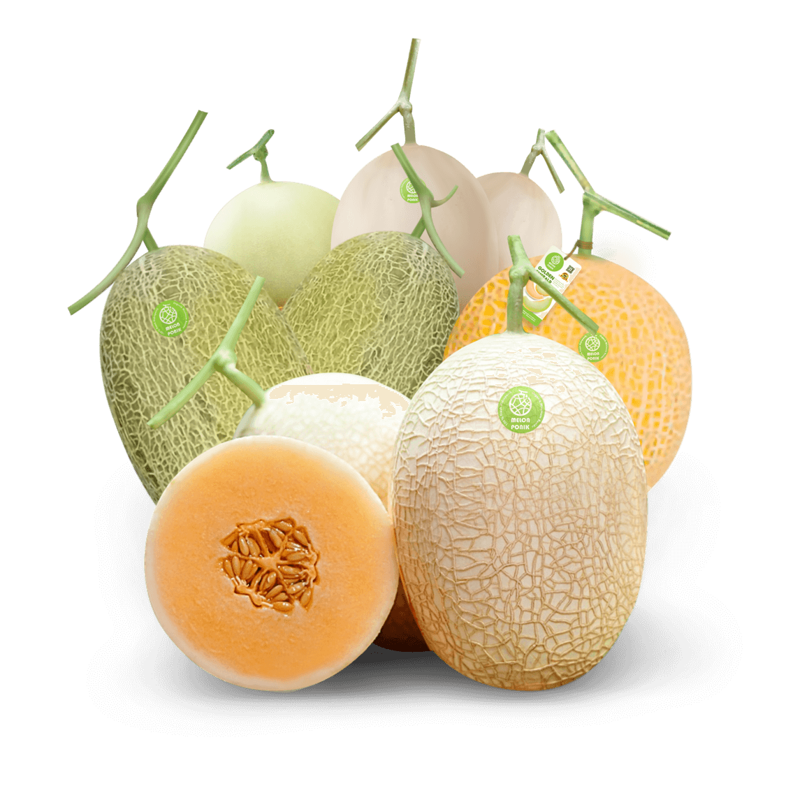 Melon Premium Melonponik dengan tingkat kemanisan 15% Brix